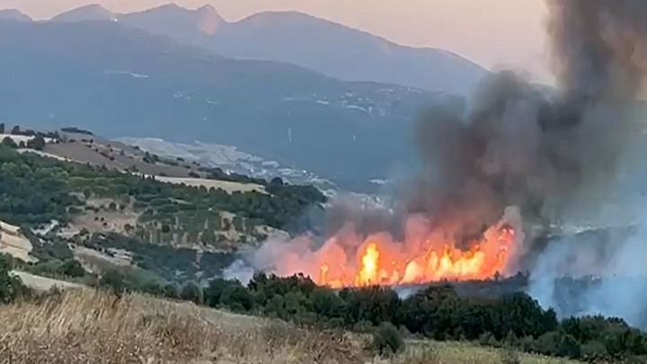 Balıkesir Susurluk'taki Orman Yangını Kontrol Altına Alındı