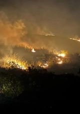 Balıkesir'de Makilik Alanda Yangın