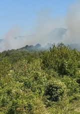 Bartın'da 2 Ayrı B&ouml;lgedeki Orman Yangınlarıyla M&uuml;cadele Devam Ediyor