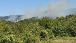 Bartın'da 2 Ayrı Bölgedeki Orman Yangınlarıyla Mücadele Devam Ediyor