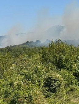 Bartın'da 2 Ayrı Bölgedeki Orman Yangınlarıyla Mücadele Devam Ediyor