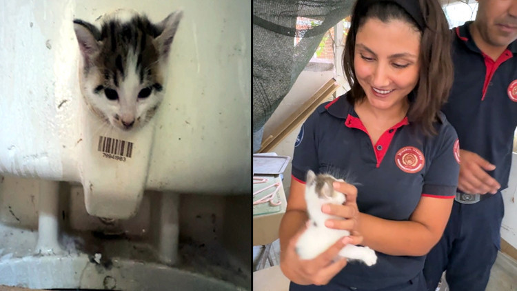 Başı lavabo deliğine sıkıştı! Ekipler böyle kurtardı