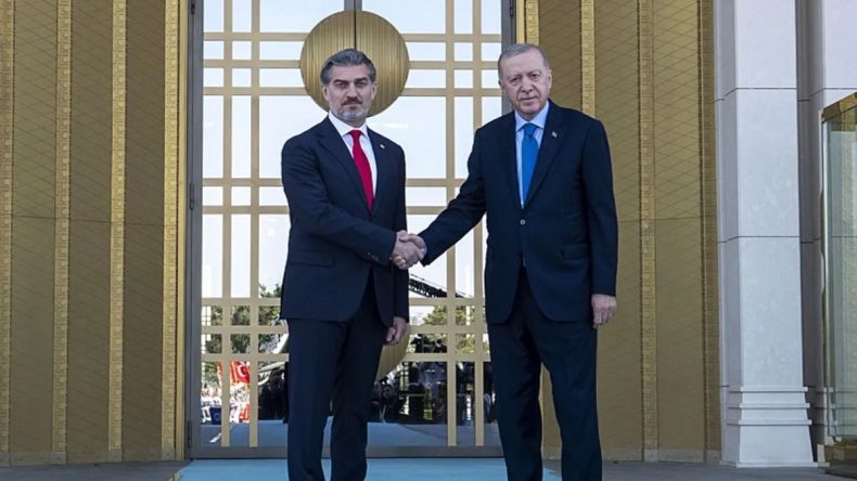 Başkan Erdoğan ve Gürcistan Cumhurbaşkanı Kavelashvili'nden Önemli Açıklamalar
