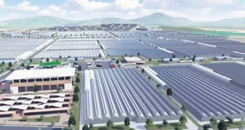 Batman’a 3 Milyar Liralık Sera Organize Tarım Bölgesi Yatırımı