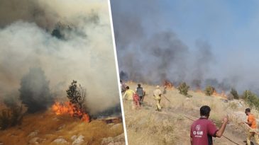 Bing&ouml;l'de Orman Yangını: M&uuml;dahale Devam Ediyor