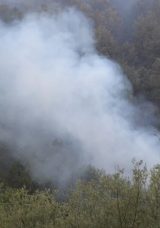 Bolu'da 20 Hektar Orman Yangını
