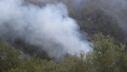 Bolu'da 20 Hektar Orman Yangını