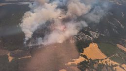 Bolu'da Orman Yangını: Söndürme Çalışmaları Devam Ediyor
