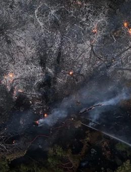 Buca’da Araç Yanması Sonucu Başlayan Orman Yangınına 1 Tutuklama
