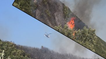 Bursa'da Orman Yangını Soruşturmasında 1 G&ouml;zaltı