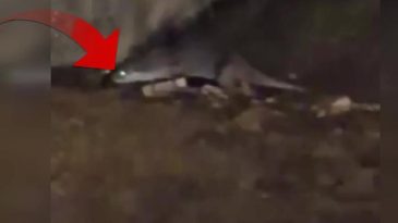 Bursalı vatandaş şaşkınlık i&ccedil;inde g&ouml;r&uuml;nt&uuml;ledi: Yaradana kurban olayım