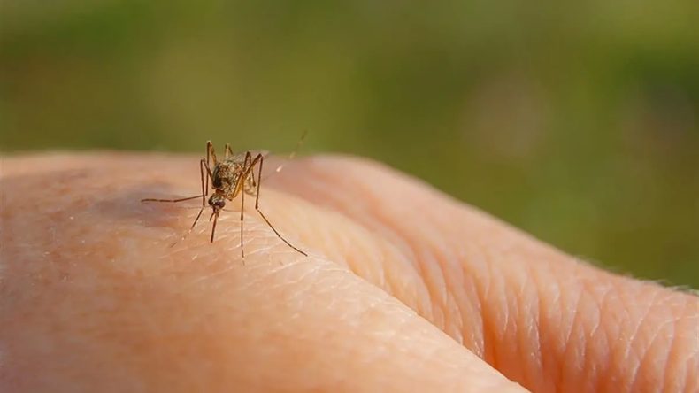 Çin'de Yeni Salgın Uyarısı: Guangdong Virüsü Binin Üzerinde Kişiye Yayılmış Durumda!