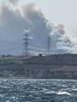 Çanakkale Gelibolu’da Orman Yangını: Köyler Tahliye Ediliyor