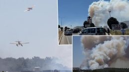 Çanakkale Kepez'de Orman Yangını