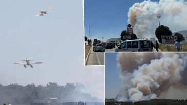 &Ccedil;anakkale Kepez'de Orman Yangını