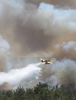 Çanakkale Merkez Elmacık Mahallesi'ndeki Yangın Kontrol Altına Alındı!