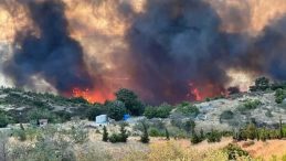 Çanakkale Orman Yangını: Hava ve Karadan Etkili Müdahale!