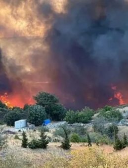 Çanakkale Orman Yangını: Hava ve Karadan Etkili Müdahale!