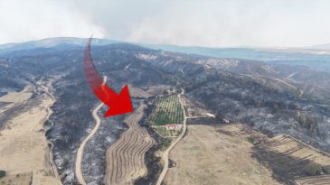 &Ccedil;anakkale'de Her Yer Gri, Bir Tek O Yer Yemyeşil Kaldı