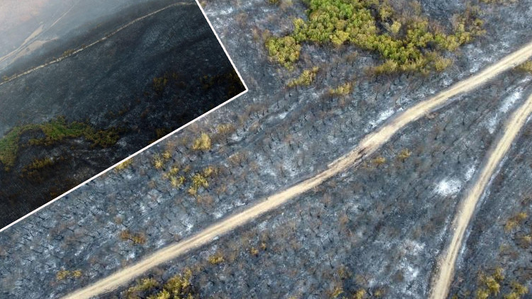 Çanakkale'deki Orman Yangını Sonrası Zarar Gören Alanlar Görüntülendi