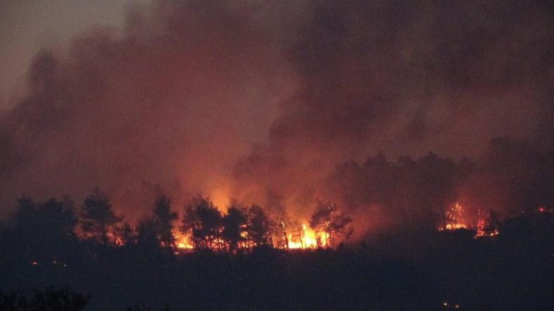 Çanakkale'deki Orman Yangınına Karadan Müdahale Devam Ediyor