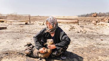 &Ccedil;anakkale&rsquo;de Acı Bilan&ccedil;o: 10 Bin D&ouml;n&uuml;m