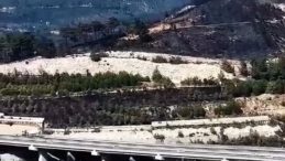 Çanakkale’de meydana gelen orman yangınında bin hektar alan küle döndü