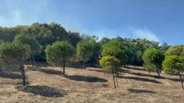 &Ccedil;atalca'da İki Farklı B&ouml;lgedeki Yangın Endişe Yarattı!