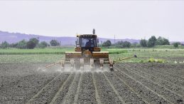 Çiftçilere 116,3 Milyon Liralık Tarımsal Destekleme Ödemesi Bugün Yapılacak