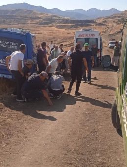 Çorum’da Çoban Tarafından Ölü Bulundu