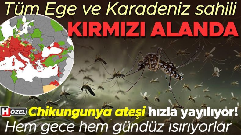 Chikungunya Ateşi Yayılıyor: Ege ve Karadeniz Sahilleri Tehlikede!
