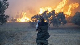 Cumhurbaşkanı Yardımcısı Yılmaz'dan Orman Yangınlarıyla Mücadele Vurgusu