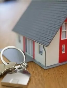 Damla Kent Halka Arz İşlem Tarihi 2025: DMLKT Kaç Lot Verdi ve Ne Zaman İşleme Açılacak?