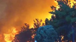 Denizli'deki Orman Yangını İkinci G&uuml;nde Kontrol Altına Alındı