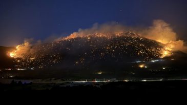 Denizli'nin Pamukkale İl&ccedil;esinde Orman Yangını Meydana Geldi