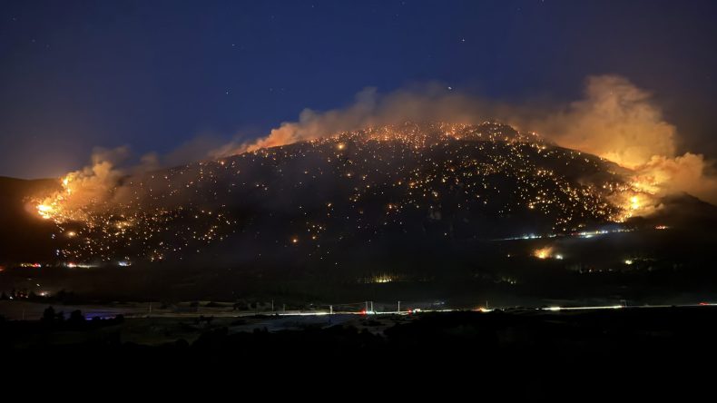 Denizli'nin Pamukkale İlçesinde Orman Yangını Meydana Geldi