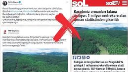 DMM: ‘Ormanların talan edildiği’ iddiası gerçek dışı
