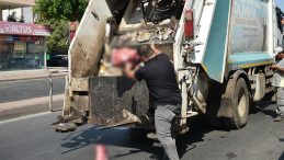 Ekipler Yumurta İhbarı Üzerine Gitti, Şok Edici Görüntülerle Karşılaştı!