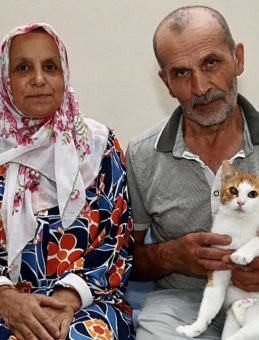 Engelli Kedilere 20 Yıldır Destek Oluyor!