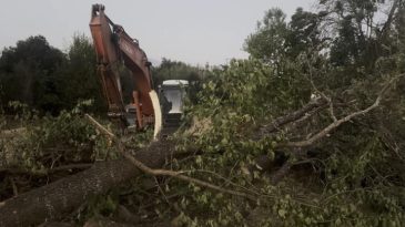 Erzincan'da Kanal &Ccedil;alışması Sırasında Devriye Giden Ağacın Altında Kalan Kişi Hayatını Kaybetti