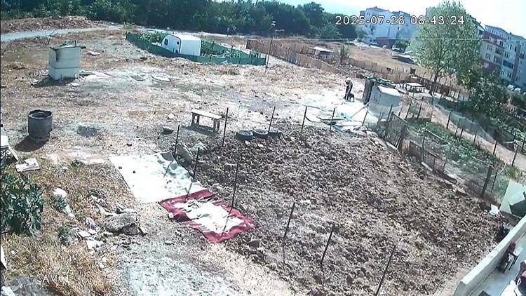 Esenyurt'ta Köpek İşkenceyle Öldürüldü İddiası