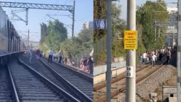Faciadan Dönüldü! Marmaray Hattına Ağaç Devrildi, Yolcular Demir Yolunda Yürüdü