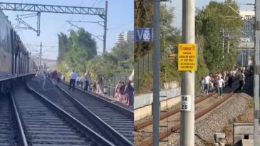Faciadan D&ouml;n&uuml;ld&uuml;! Marmaray Hattına Ağa&ccedil; Devrildi, Yolcular Demir Yolunda Y&uuml;r&uuml;d&uuml;