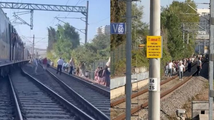 Faciadan Dönüldü! Marmaray Hattına Ağaç Devrildi, Yolcular Demir Yolunda Yürüdü