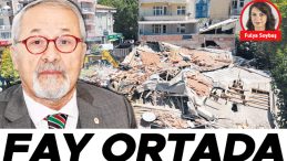 Fay Ortada, Falcılığa Gerek Yok
