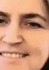 Fındık Toplarken Arı Sokmasıyla Hayatını Kaybeden Kadın