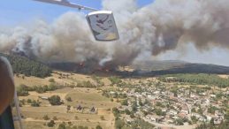 Gelibolu’da Orman Yangını: 126 Kişi Güvenli Bölgelere Tahliye Edildi