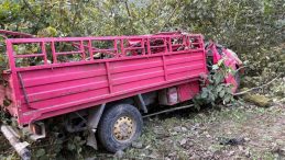 Giresun'da Kamyonet Fındık Bahçesine Yuvarlandı! 4 Kişi Hayatını Kaybetti, 1 Kişi Yaralı