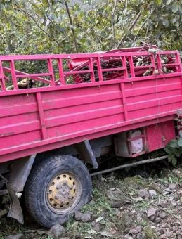 Giresun'da Kamyonet Fındık Bahçesine Yuvarlandı! 4 Kişi Hayatını Kaybetti, 1 Kişi Yaralı