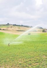 G&ouml;k&ccedil;e&ouml;ren Ovası&rsquo;nda &Ccedil;ift&ccedil;inin Su Sevinci